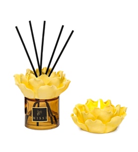 Aura Collection Oda Kokusu & Mumluk Set - Oud Vanilya (Amber)