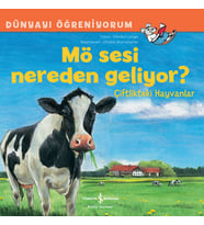 Mö Sesi Nerden Geliyor?