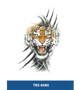 TBS-8480 ORTA BOY KAPLAN DESEN RENKLİ GEÇİCİ DÖVME-TATTO