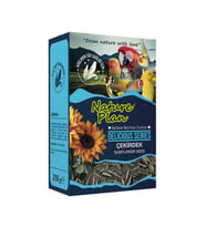 Delicious Serisi Çekirdek 250 Gr