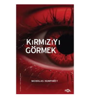 Kırmızıyı Görmek