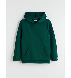 LCW Kids Yeşil Kapüşonlu Erkek Çocuk Sweatshirt