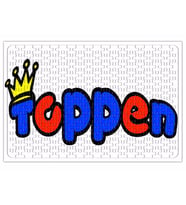 Toppen Puzzle 240 Parça Yapboz