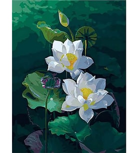 Nilüfer Sayılarla Boyama Seti 40x50 cm (Tuvale Gerili)