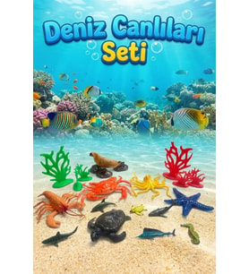 Okyanus Dünyası Eğitici Deniz Canlıları Figür Seti - 12 Parça Gerçekçi Hayvanlar