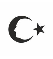 Ayyıldız ve Atatürk Silüeti Sticker 20x20 cm Siyah (Beyaz)