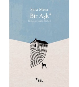 Bir Aşk