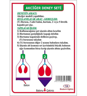 MODEL DENEY SETİ