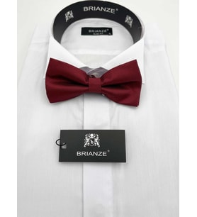 Brianze Açık Bordo Papyon TP-22