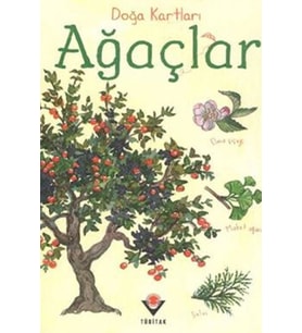 Doğa Kartları - Ağaçlar