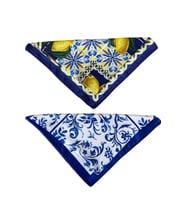 2 Li Saten Bandana Seti Saten Fular Saten Çanta Aksesuarı Özel Desen Bandana 45X50 Cm