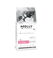 Molly Mini Irk Anne & Yavru Köpek Maması Tavuklu & Yaban Mersinli 2 Kg (Beyaz)