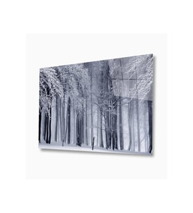 Doğa Cam Tablo 4mm Dayanıklı Temperli Cam (Çok Renkli)