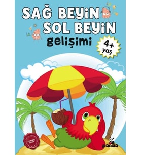 Sağ Beyin-Sol Beyin Gelişimi 4+ Yaş