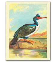 Cakatablo MDF (Ahşap) Tablo Throated Kuş Görseli