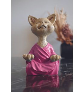 YOGA YAPAN KEDİ