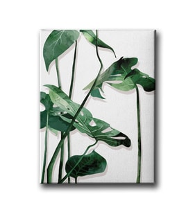 Botanik Canvas Tablo MİND450