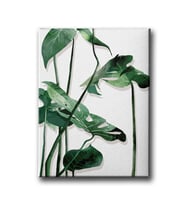 Botanik Canvas Tablo MİND450