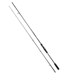 Fujin Dragon Monster 275cm 20-60gr Spin Kamışı