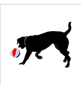 TOP OYNAYAN KÖPEK FOLYO STİCKER 80cm Uzunluk (Karışık)