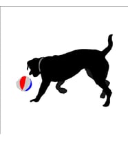 TOP OYNAYAN KÖPEK FOLYO STİCKER 80cm Uzunluk (Karışık)