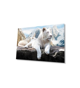 Aslan Cam Tablo 4mm Dayanıklı Temperli Cam (Çok Renkli)