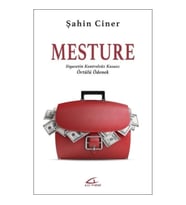 Mesture