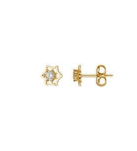 14 Ayar Altın Taşlı Küpe 0,90 gr