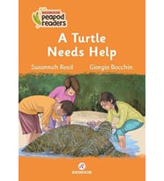 A Turtle Needs Help