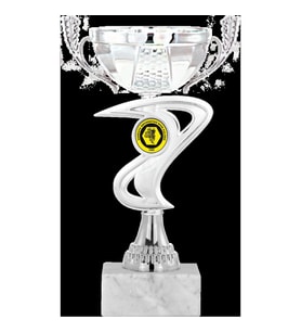 ODAK KUPA - Economy Kupalar - ECO-020 C - 22 cm