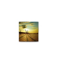 DBSanatevi Çöldeki Susuz Ağaç Tablo 50 X 50 Cm