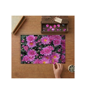 Pembe Kasımpatları Tasarımı 240 parça Ahşap Puzzle Ahşap Kutuda MP09822