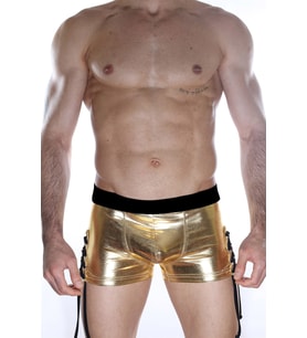 Mulvxbrf Brf02  Erkek  Boxer (Mulvix)