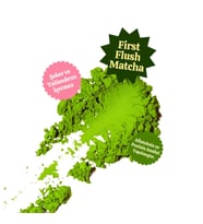 Pure Matcha Powder - Saf Matcha Tozu Doypack, 25 gr