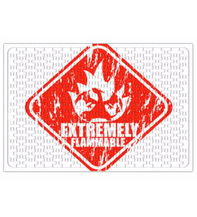 Pokémon Extremely Flammable Puzzle 240 Parça Yapboz
