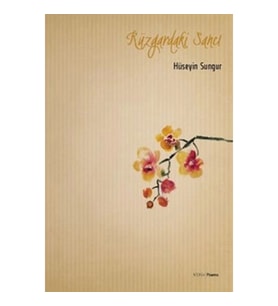 Rüzgardaki Sancı