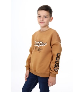 Toontoy Erkek Çocuk Baskılı Sweatshirt (Kahverengi)