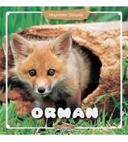 ORMAN  HAYVANLAR DÜNYASI  YUMURCAK