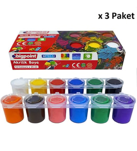 Bigpoint Akrilik Boya 12 Renk x 25 ml x 3 Paket