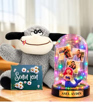 Kişiye Özel Yazılı 3 Fotoğraflı Renkli LED Işıklı Fanus(denizkızı) ve Şaşkın Peluş Eşek