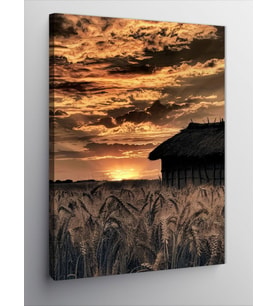 Kanvas Tablo Sevimli Kedi Yüzleri