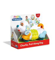 17262 Çek Çek Köpek +9 Ay
