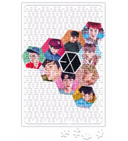 Exo 01 Puzzle 240 Parça Yapboz