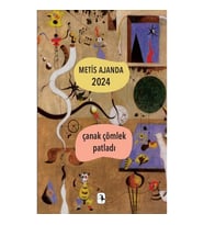 Metis Ajanda 2024: Çanak Çömlek Patladı