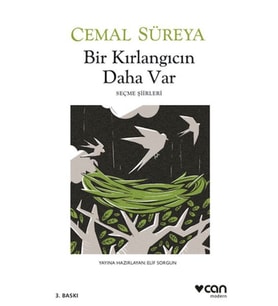 Bir Kırlangıcın Daha Var