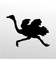Folyo Sticker Deve Kuşu 80cm Uzunluk (Karışık)