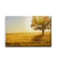 Sonbahar Manzara Tablo MZY261