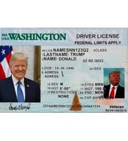 Dükkan Design Donald Trump Parodi Ehliyet/Kimlik Kartı (Hediye ve Şaka Amaçlıdır)