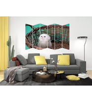 KEDİ MDF TABLO-2580 MODEL-B