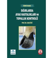 Sığırlarda Ayak Hastalıkları ve Topallık Kontrolü